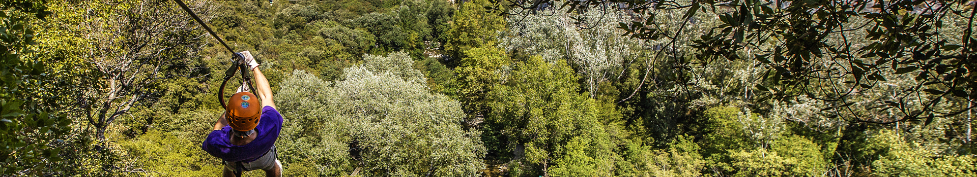 Canyon Forest - Aventurier sur la tyrolienne du parcours noir Téouf