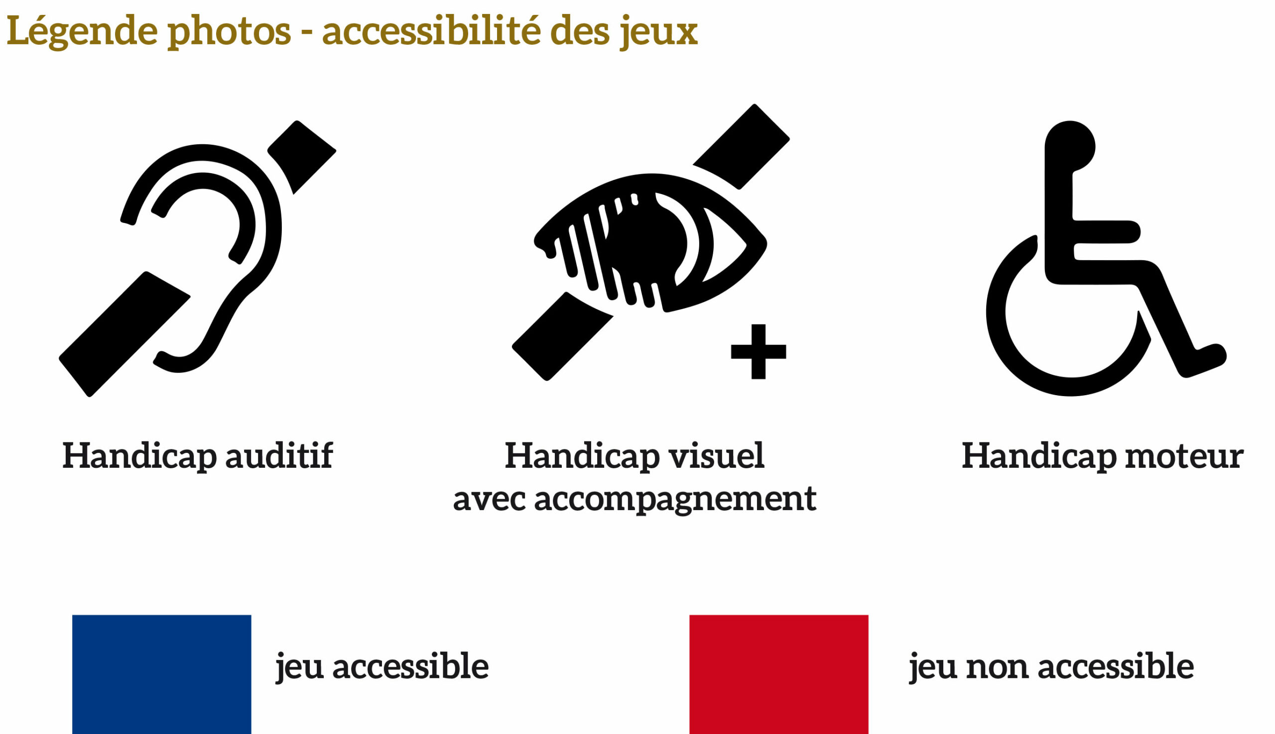 picto accessibilité des jeux selon handicap